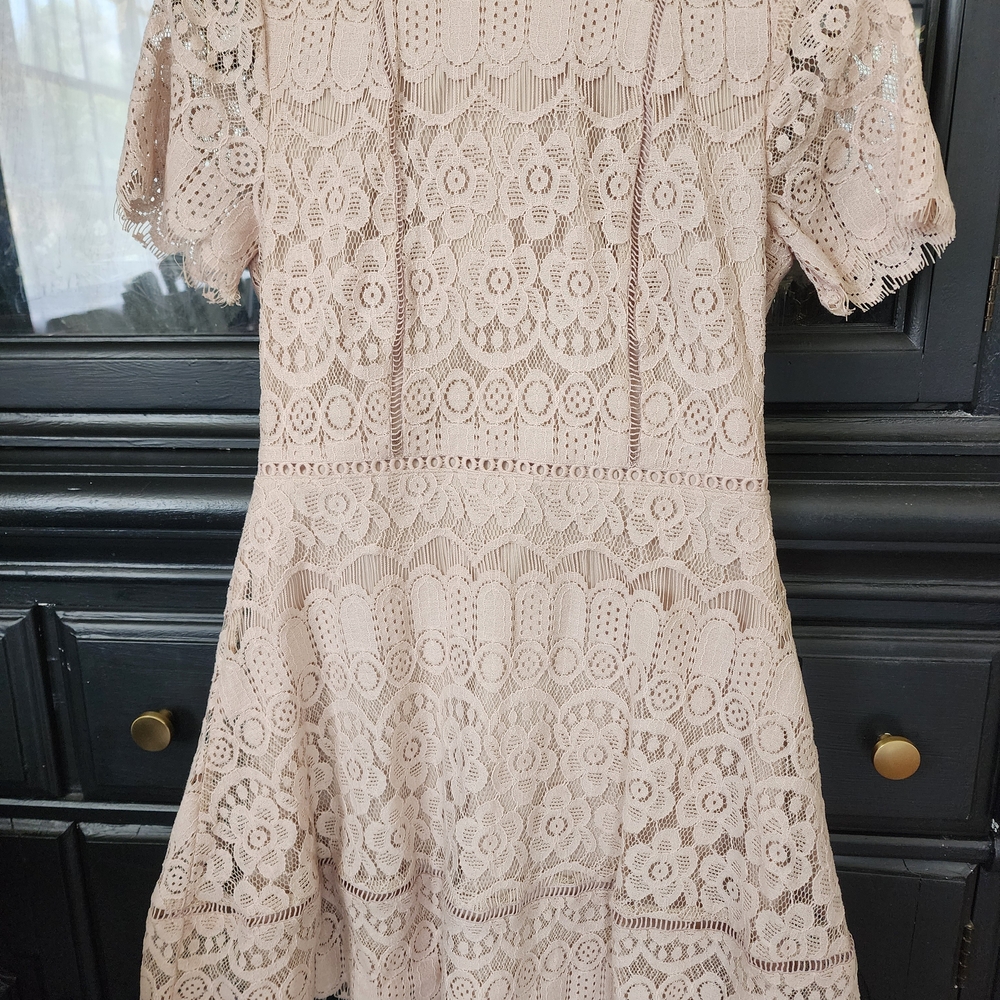 Blu Pepper Lace Dress in Soft Pink